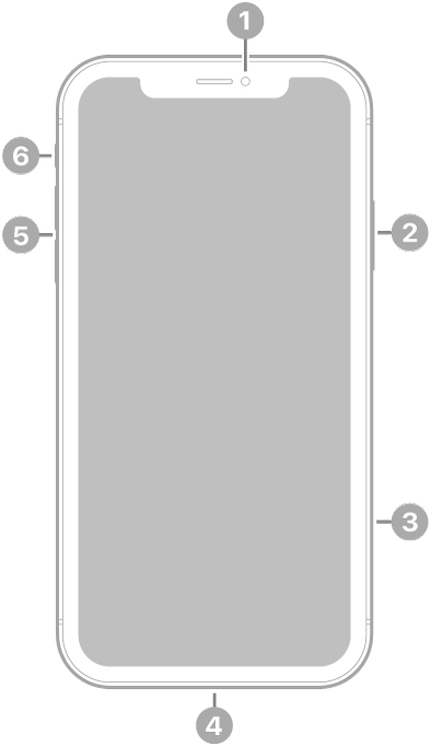 Vista frontal del iPhone 11. La cámara frontal se encuentra en la parte superior central. En el lado derecho, de arriba a abajo, se encuentran el botón lateral y la bandeja SIM. El conector Lightning está en la parte inferior. En el lado izquierdo, de abajo a arriba, se encuentran los botones de volumen y el conmutador de tono/silencio.