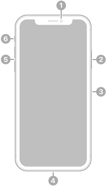 Vista frontal del iPhone XS. La cámara frontal se encuentra en la parte superior central. En el lado derecho, de arriba a abajo, se encuentran el botón lateral y la bandeja SIM. El conector Lightning está en la parte inferior. En el lado izquierdo, de abajo a arriba, se encuentran los botones de volumen y el conmutador de tono/silencio.