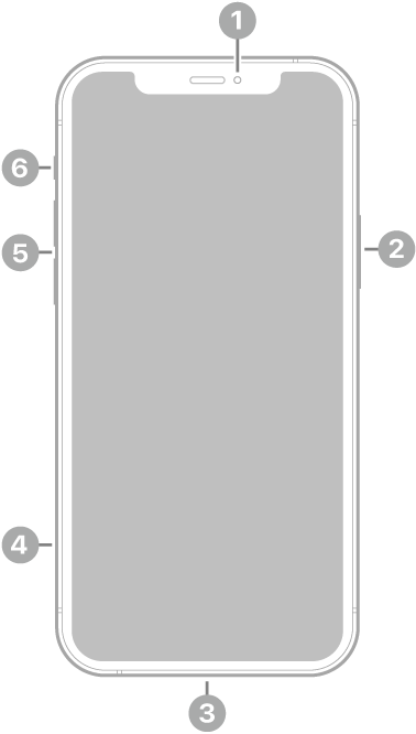 iPhone 12 edestä. Etukamera on ylhäällä keskellä. Sivupainike on oikealla puolella. Lightning-liitäntä on pohjassa. Vasemmalla puolella alhaalta ylöspäin ovat seuraavat: SIM-alusta, äänenvoimakkuuspainikkeet ja soitto-/äänetön-kytkin.