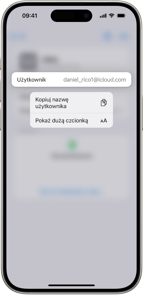 Ekran konta z widoczną wyróżnioną nazwą użytkownika oraz przyciskami Kopiuj nazwę użytkownika oraz Pokaż dużą czcionką.