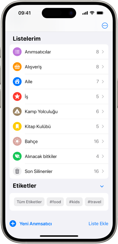 Anımsatıcılar uygulamasında, en altta birden fazla liste ve Etiket Tarayıcı gösteriliyor.