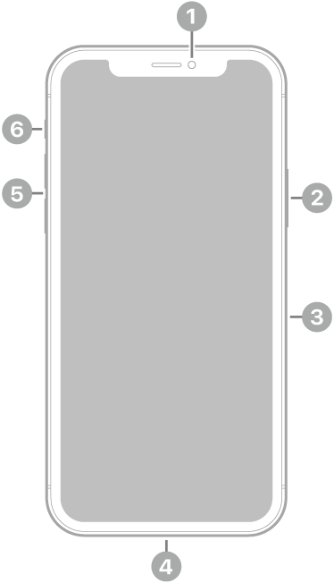 iPhone 11 Pro 前视图。前置相机位于顶部中央。右侧从上到下分别是侧边按钮和 SIM 卡托。闪电接口位于底部。左侧从下到上依次是音量按钮和响铃/静音开关。