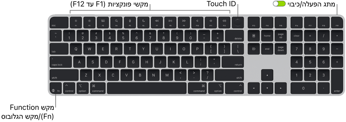 ה-Magic Keyboard עם ה-Touch ID ומשטח ספרות מציגה את שורת מקשי הפונקציה ואת ה-Touch ID לאורך החלק העליון, ואת מקש הפונקציה (Fn)/גלובוס למטה בצד.