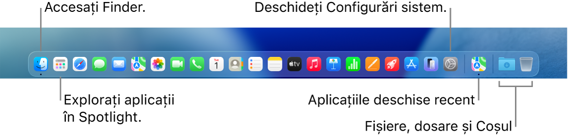 Dock-ul, afișând Finder, Configurări sistem și divizorul din Dock care separă aplicațiile de fișiere și dosare.