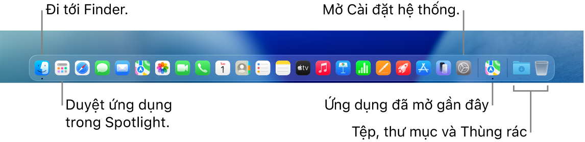 Dock, đang hiển thị Finder, Cài đặt hệ thống và thanh chia trên Dock phân tách các ứng dụng khỏi các tệp và thư mục.