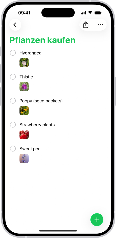 Die App „Erinnerungen“ zeigt eine Liste mit Fotos in jeder Erinnerung an.