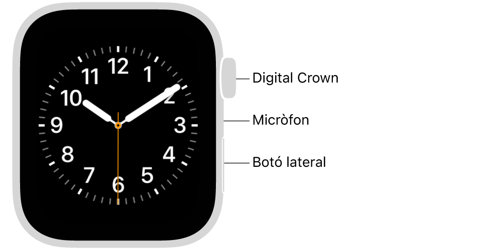 La part de davant de l’Apple Watch Series 6 mostra la pantalla amb l’esfera del rellotge. A la part lateral del rellotge començant per dalt hi ha la Digital Crown, el micròfon i el botó lateral.
