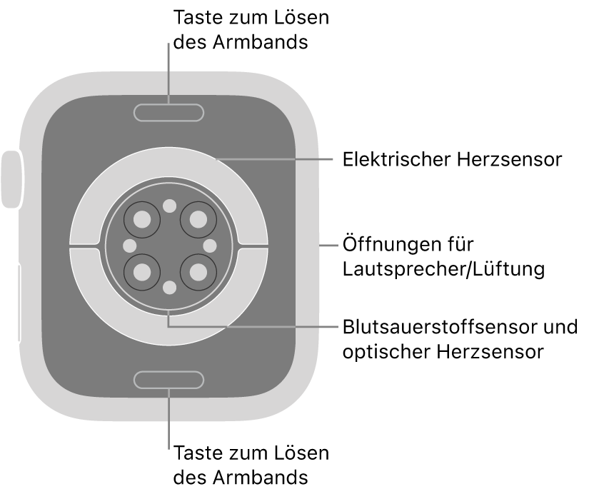 Die Rückseite der Apple Watch Series 9 mit Entriegelungstasten für das Armband oben und unten, elektrischem Herzsensor, optischem Herzsensor und dem Sensor für den Sauerstoffgehalt im Blut in der Mitte sowie den Lautsprecher-/Lüfteröffnungen an der Seite.