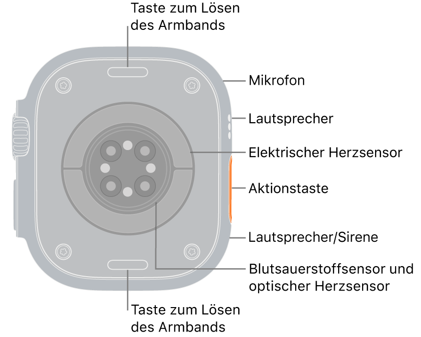 Die Rückseite der Apple Watch Ultra 3 mit den Entriegelungstasten für das Armband oben und unten. An der Seite ist Folgendes zu sehen: Mikrofon, Lautsprecher, elektrischer Herzsensor, Aktionstaste, eine Lautsprecheröffnung, über die das Alarmsignal der Sirene ausgegeben wird, Blutsauerstoffsensoren und optische Herzsensoren.
