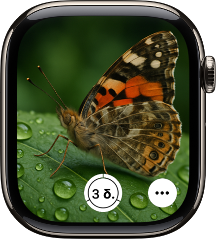 Στην οθόνη του Apple Watch εμφανίζεται η προβολή της κάμερας του iPhone. Το κουμπί κλείστρου βρίσκεται κάτω στο κέντρο. Το κουμπί «Περισσότερες επιλογές» βρίσκεται κάτω δεξιά.