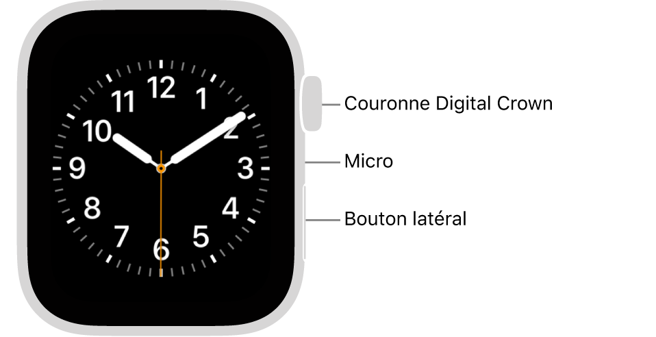 L’avant de l’Apple Watch Series 6, avec l’écran affichant le cadran, et sur le côté de la montre, de haut en bas, la Digital Crown, le micro et le bouton latéral.