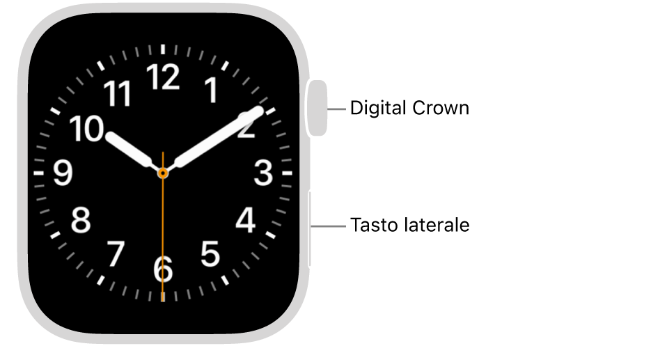 Apple Watch, visto da davanti, con la Digital Crown in alto a destra e il tasto laterale in basso a destra della cassa.
