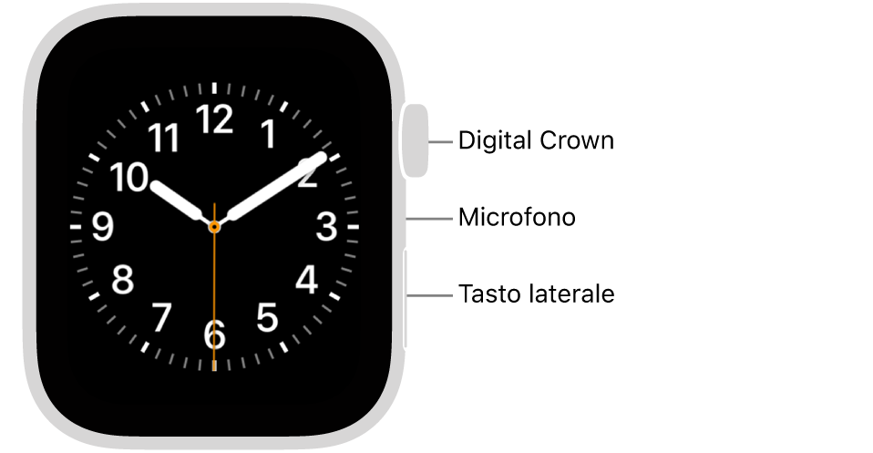 Apple Watch SE 3 visto da davanti, con, dall’alto verso il basso, lo schermo che mostra il quadrante, la Digital Crown, il microfono e il pulsante laterale.