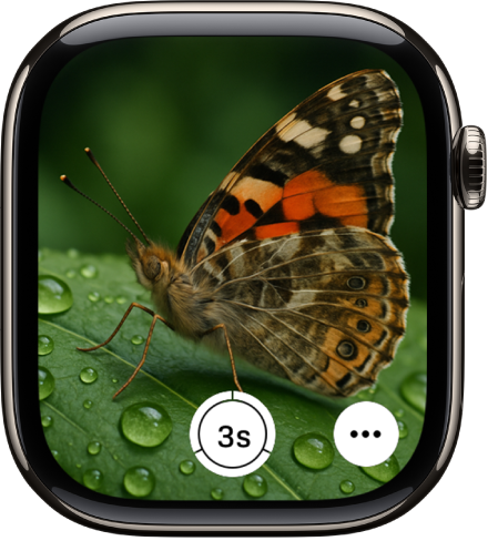 „Apple Watch“ ekranas, kuriame rodomas „iPhone“ kameros rodinys. Apačioje centre pateiktas užrakto mygtukas. Mygtukas „More Options“ yra apačioje dešinėje.