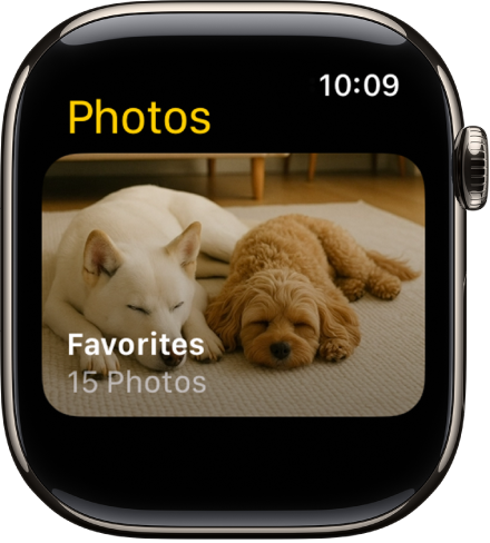 App Foto pada Apple Watch menunjukkan album yang dipanggil Kegemaran.