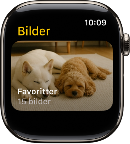 Bilder-appen på Apple Watch som viser et album som heter Favoritter.