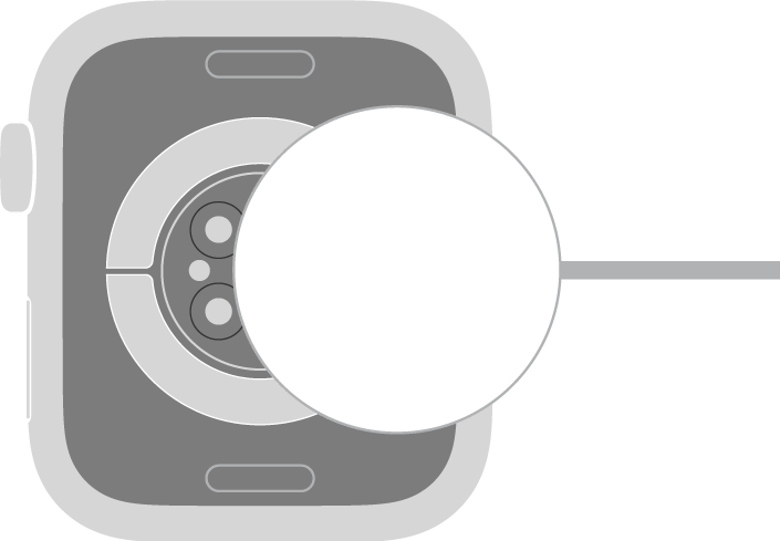 Den konkave enden av laderen fester seg magnetisk på baksiden av Apple Watch.