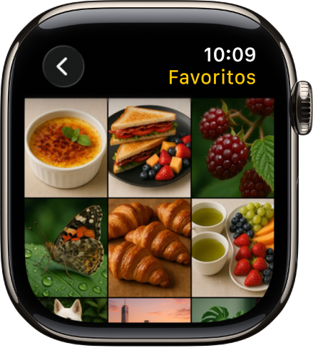 A aplicação Fotografias no Apple Watch com um álbum chamado “Favoritos” com várias fotografias apresentadas numa grelha.