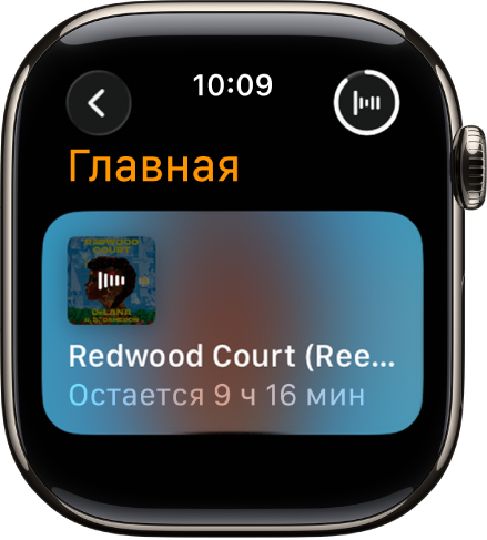 На экране «Аудиокниги» показано воспроизведение аудиокниги, ее название и оставшееся время. В правом верхнем углу находится кнопка «Исполняется».