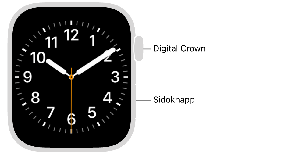 Framsidan på Apple Watch med Digital Crown överst på högra sidan av klockan och sidoknappen till höger nedtill.