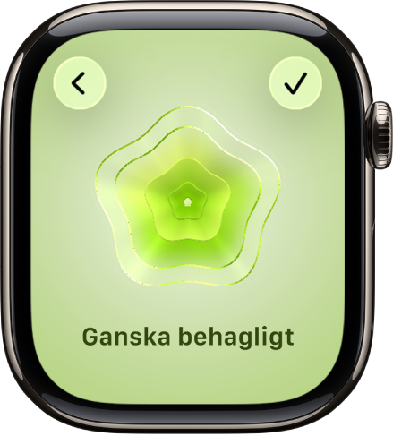 Appen Mindfulness visar skärmen Sinnestillstånd med en grafik i mitten. En känsla listas nedanför.