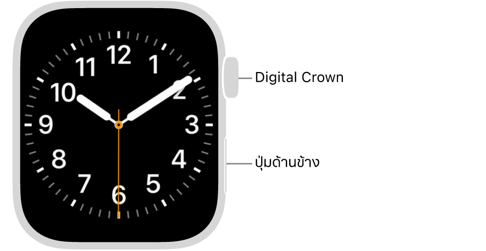 ด้านหน้าของ Apple Watch ที่มี Digital Crown แสดงอยู่ที่ด้านบนสุดทางด้านขวาของนาฬิกา และปุ่มด้านข้างแสดงอยู่ที่ด้านขวาล่างสุด