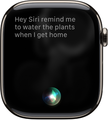 Siri 屏幕显示设定提醒事项的请求。