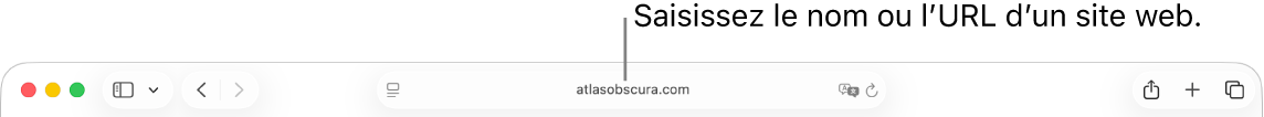 Le champ de recherche intelligente de Safari, dans lequel vous pouvez saisir le nom ou l’URL d’un site web.