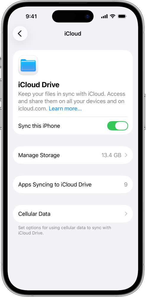 La pantalla de l’iCloud Drive a la configuració de l’iCloud. L’opció “Sincronitza l’iPhone” està activada.