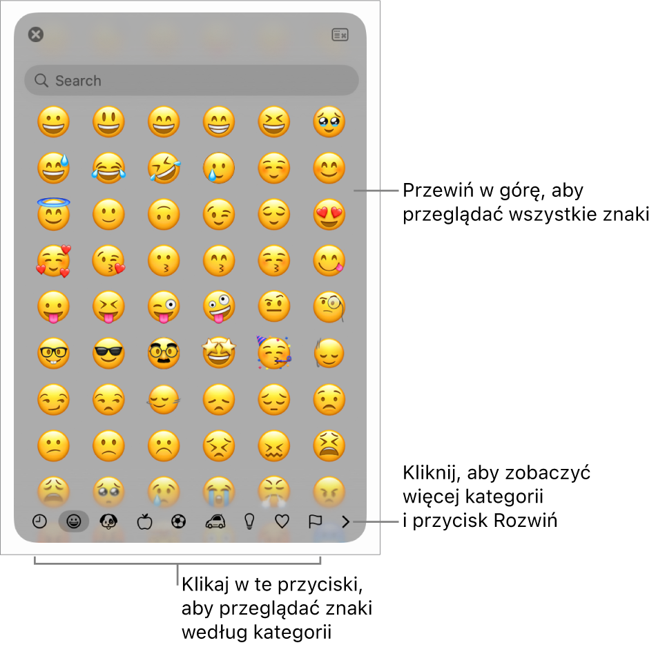 Okno Podgląd znaków wyświetlająca emoji, przyciski różnych kategorii symboli na dole oraz przycisk umożliwiający wyświetlenie większej liczby kategorii i przycisk Rozwiń.