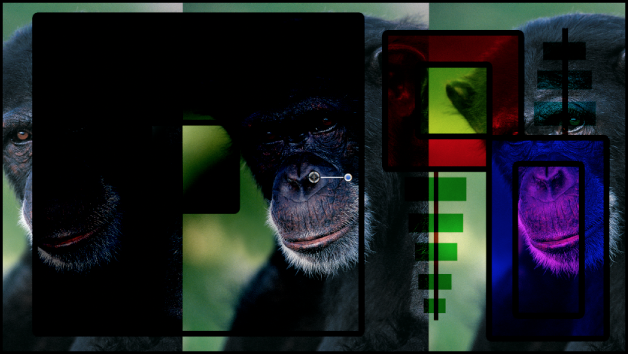 The boxes and chimpanzee images blended using the Linear Burn blend mode