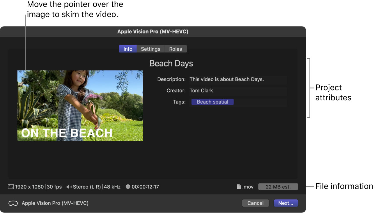 El panel Información de la ventana Compartir para el destino “Apple Vision Pro (MV-HEVC)”