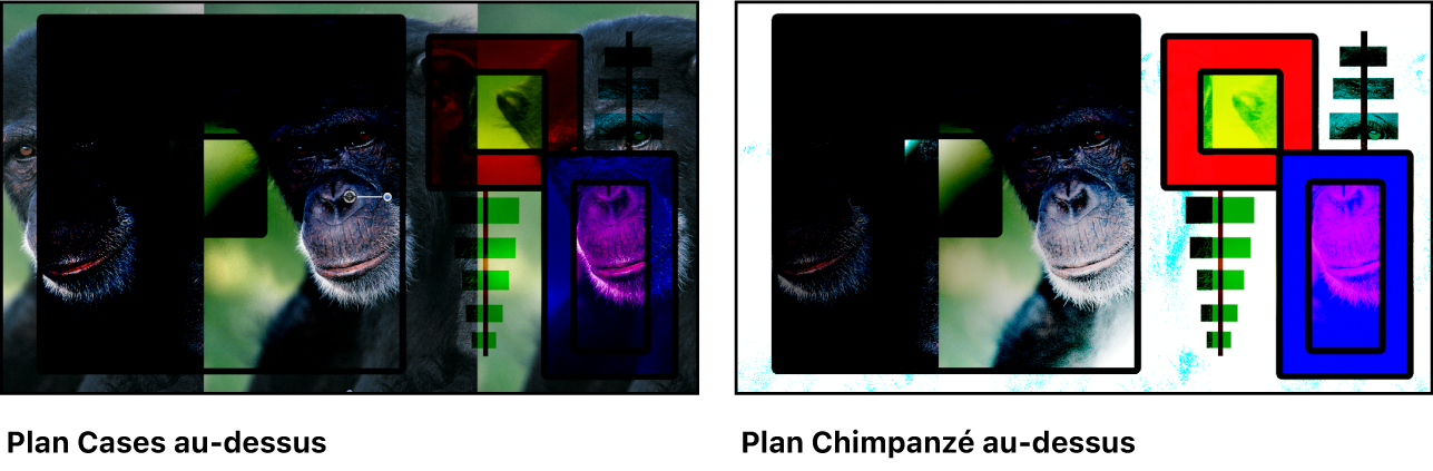 Deux versions des images de boîtes et de chimpanzé fusionnées à l’aide du mode de fusion Densité couleur +, l’une montrant le plan de boîtes au-dessus et l’autre montrant le plan de chimpanzé au-dessus