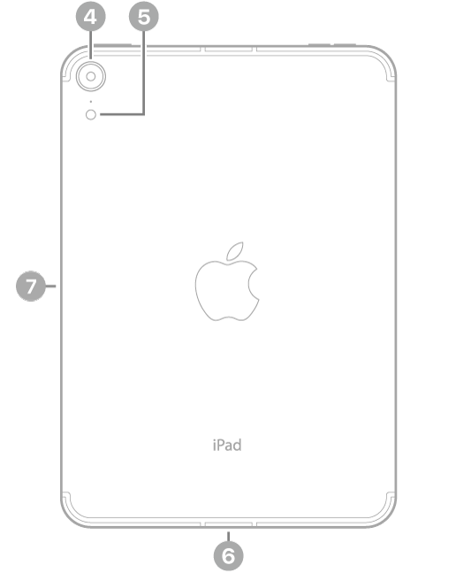 Pohled na zadní stranu iPadu mini s popisky u zadního fotoaparátu a blesku vlevo nahoře, u USB‑C konektoru uprostřed dolní strany a u magnetického konektoru pro Apple Pencil na levé straně