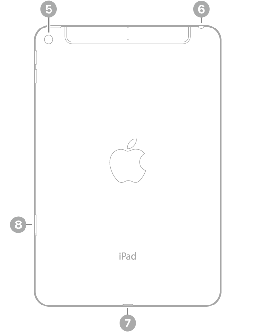 Vista posterior del iPad mini con textos que indican la ubicación de la cámara trasera en la parte superior izquierda, la entrada para audífonos en la parte superior derecha, el conector Lightning en la parte inferior central y la bandeja de la tarjeta SIM (Wi-Fi + Cellular) abajo a la izquierda.