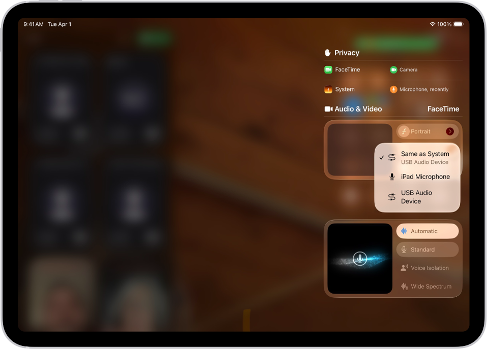 FaceTime қоңырауы үшін дыбыс кірісі көзін таңдау үшін басқару элементтері.