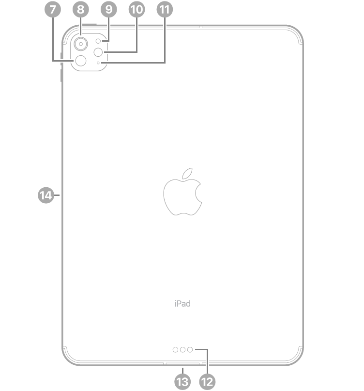 „iPad Pro“ vaizdas iš galo su nuorodomis į „LiDAR“, galinį fotoaparatą, galinį aplinkos šviesos jutiklį, blykstę ir mikrofoną viršuje kairėje, „Smart Connector“ bei USB-C jungtį apačioje centre ir magnetinę „Apple Pencil“ jungtį kairėje.
