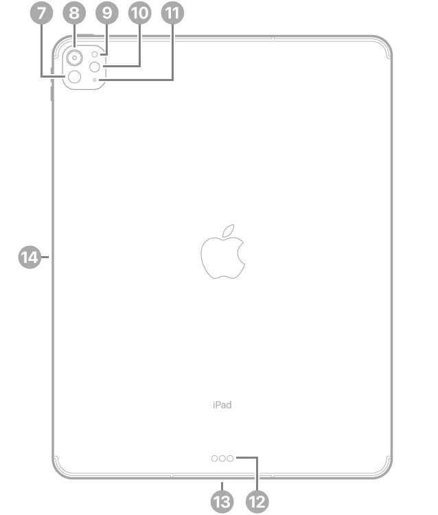 Pandangan belakang iPad Pro dengan petak bual ke LiDAR, kamera belakang, sensor cahaya ambien belakang, denyar dan mikrofon di bahagian kiri atas, penyambung Smart Connector dan USB-C di bahagian tengah bawah dan penyambung magnetik untuk Apple Pencil di sebelah kiri.