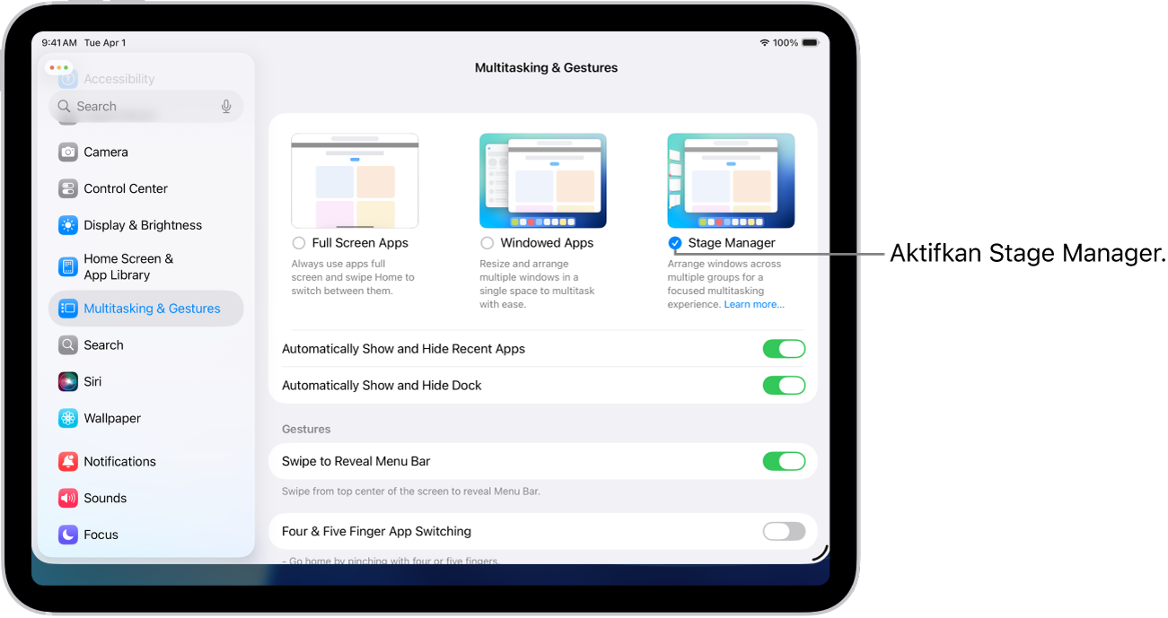 App Seting iPad, menunjukkan pilihan Berbilang Tugas & Gerak Isyarat yang anda pilih untuk bekerja dalam berbilang app.