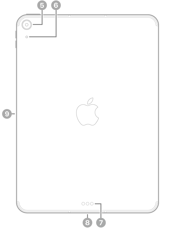 iPad Air ର ପଛ ଭ୍ଯୂ, ଶୀର୍ଷ ବାମ ପାର୍ଶ୍ୱରେ ପଛ କ୍ୟାମେରା ଓ ମାଇକ୍ରୋଫୋନ୍, ନିମ୍ନ ମଧ୍ୟଭାଗରେ Smart Connector ଓ USB-C କନେକ୍ଟର୍, ନିମ୍ନ ବାମ ପାର୍ଶ୍ବରେ SIM ଟ୍ରେ (Wi-Fi + Cellular) ଏବଂ ବାମ ପାର୍ଶ୍ବରେ Apple Pencil ପାଇଁ ମାଗ୍ନେଟିକ୍ କନେକ୍ଟର୍କୁ ଦର୍ଶାଉଛି।