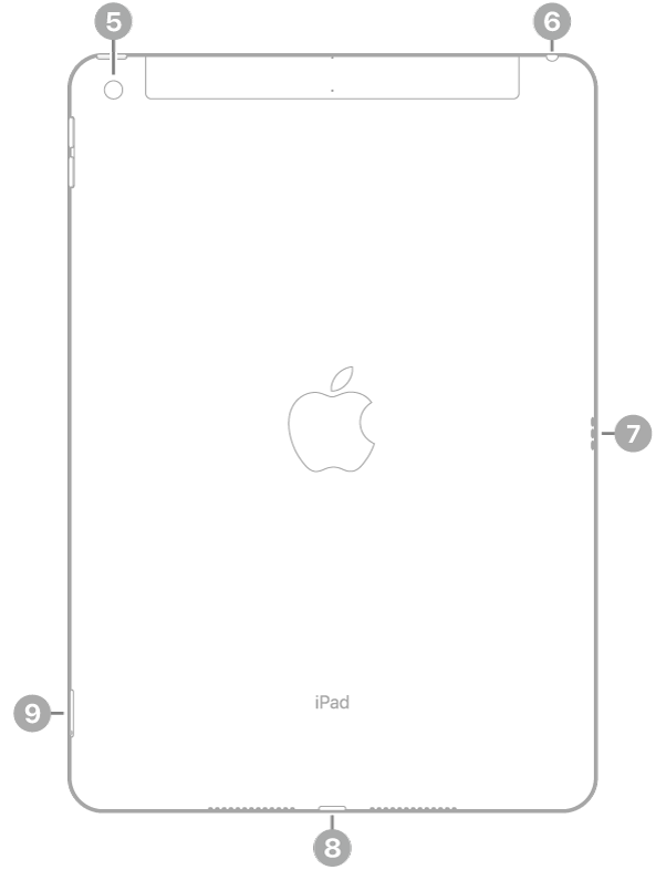 O iPad de trás com chamadas para a câmara traseira no canto superior esquerdo, a ficha para auscultadores na parte superior direita, o Smart Connector à direita, o conector Lightning na parte inferior, ao centro, e o tabuleiro do SIM (Wi-Fi + Cellular) na parte inferior esquerda.