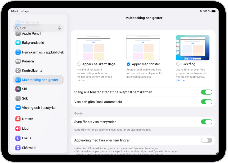 Ett iPad-fönster visar inställningarna Multitasking och gester.
