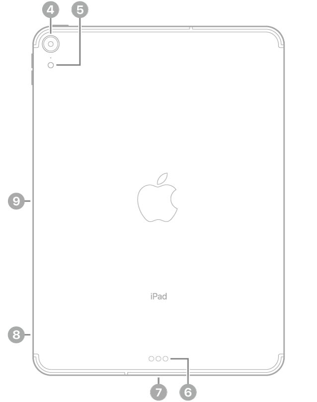 มุมมองด้านหลังของ iPad Pro พร้อมกับตัวชี้บรรยายกล้องด้านหลังและแฟลชที่ด้านซ้ายบนสุด Smart Connector และช่องต่อ USB-C ที่กึ่งกลางด้านล่างสุด ถาดซิม (Wi-Fi + Cellular) ที่ด้านซ้ายล่างสุด และตัวเชื่อมต่อแบบแม่เหล็กสำหรับ Apple Pencil ทางด้านซ้าย