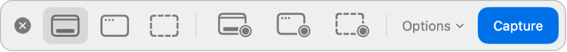 El panel “Captura de pantalla”.