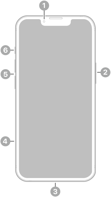 Anvers de l’iPhone 14. La càmera frontal és a la part superior central. El botó lateral és al costat dret. El connector Lightning és a la part inferior. Al costat esquerre, de baix a dalt, hi ha la safata de la SIM, els botons de volum i el selector de so/silenci.