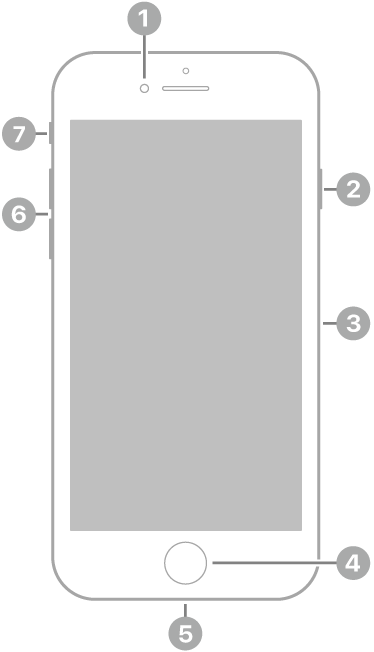 Pandangan hadapan iPhone SE (generasi ke-2). Kamera depan di bahagian atas, di sebelah kiri ialah speaker. Di sebelah kanan, dari atas ke bawah, ialah butang sisi dan dulang SIM. Butang Utama berada di bahagian tengah bawah. Penyambung Lightning di bahagian pinggir bawah. Di sebelah kiri, dari bawah ke atas, ialah butang kelantangan dan suis Dering/Senyap.