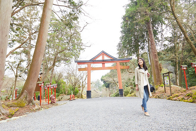 ロテルド比叡 客室