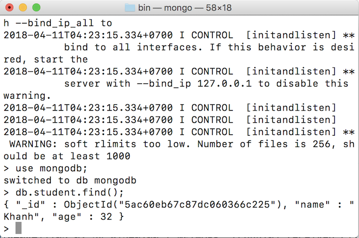 Manipulate with MongoDB in Java application