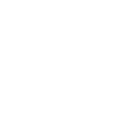 FundaciónVLCPort-blanco