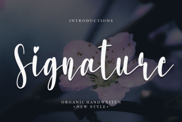 Signature Script Font